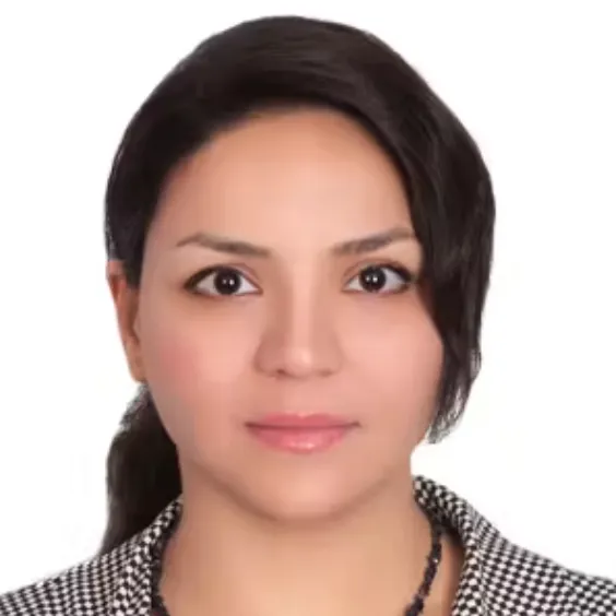 Dr Arezoo Mirzaei