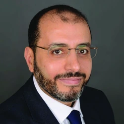 Professor Hany Zayed